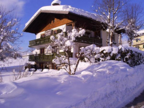Ferienhaus Hirterhütte, Abtenau, Österreich